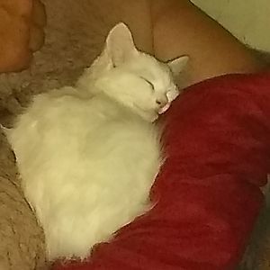 Meet your Posher, Candace